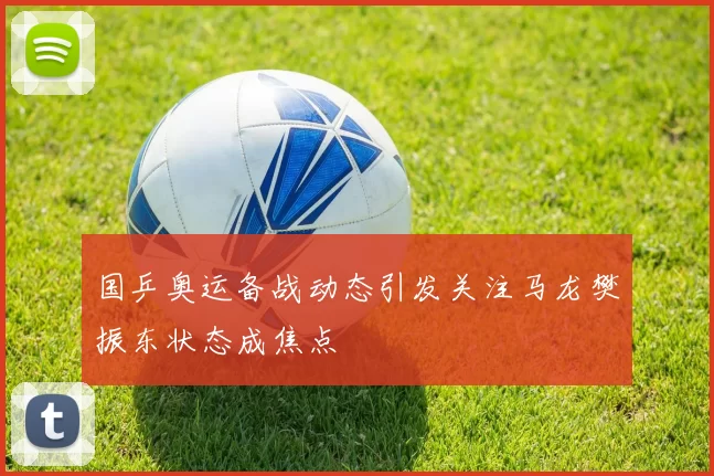 国乒奥运备战动态引发关注马龙樊振东状态成焦点