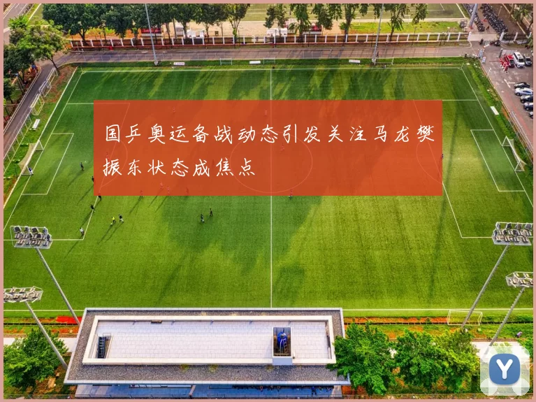 国乒奥运备战动态引发关注马龙樊振东状态成焦点