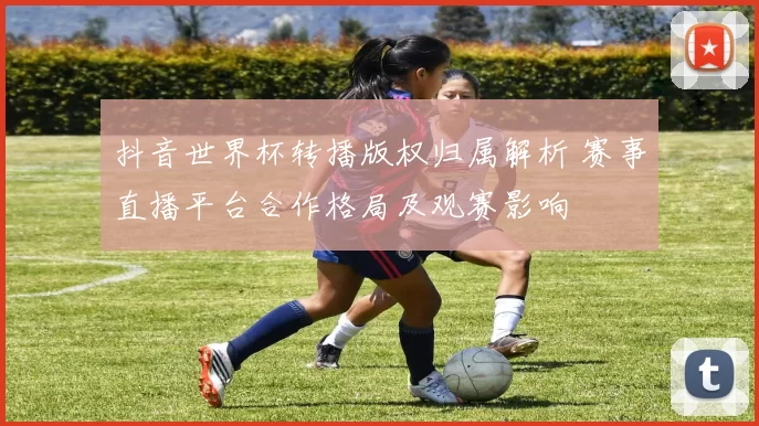 抖音世界杯转播版权归属解析 赛事直播平台合作格局及观赛影响